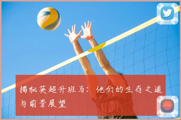 揭秘英超升班马：他们的生存之道与前景展望